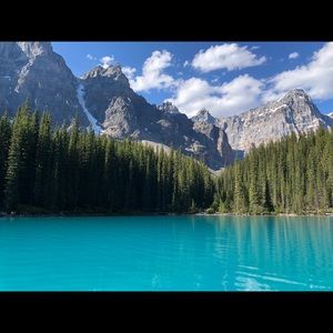 Meet your Posher, Holly